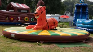 Funjoker Bottrop-Hüpfburg leihen-Rodeotiger